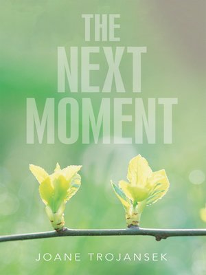 cover image of The Next Moment